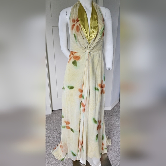 EUC Size 8 Flawless Silk Backless Gown - Picture 2 of 11